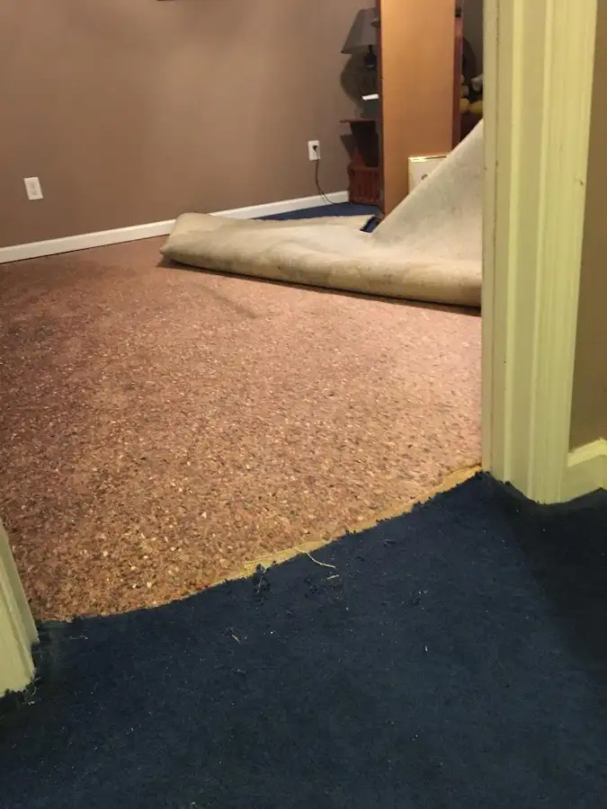 Carpet pad removal revealing water damage during Water Mitigation Services in Shelburne