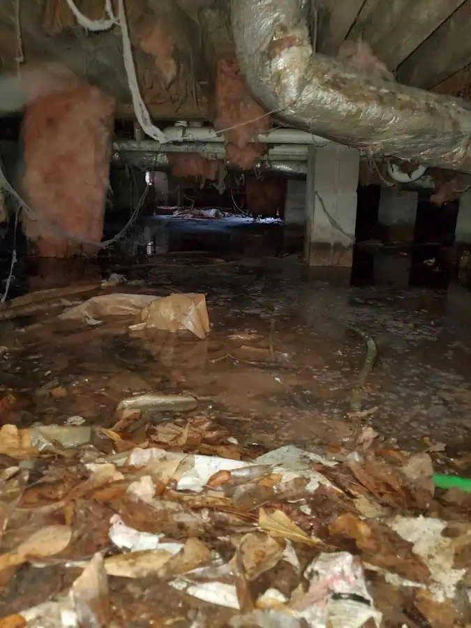Crawl space flood assessment for Leak Detection & Repair in Shelburne