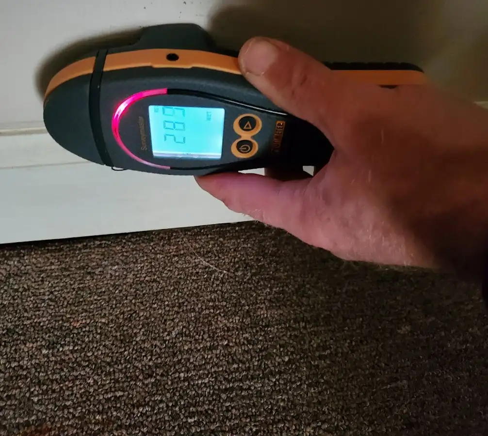 Moisture detection at baseboard during Sewage Cleanup & Sanitation in Shelburne